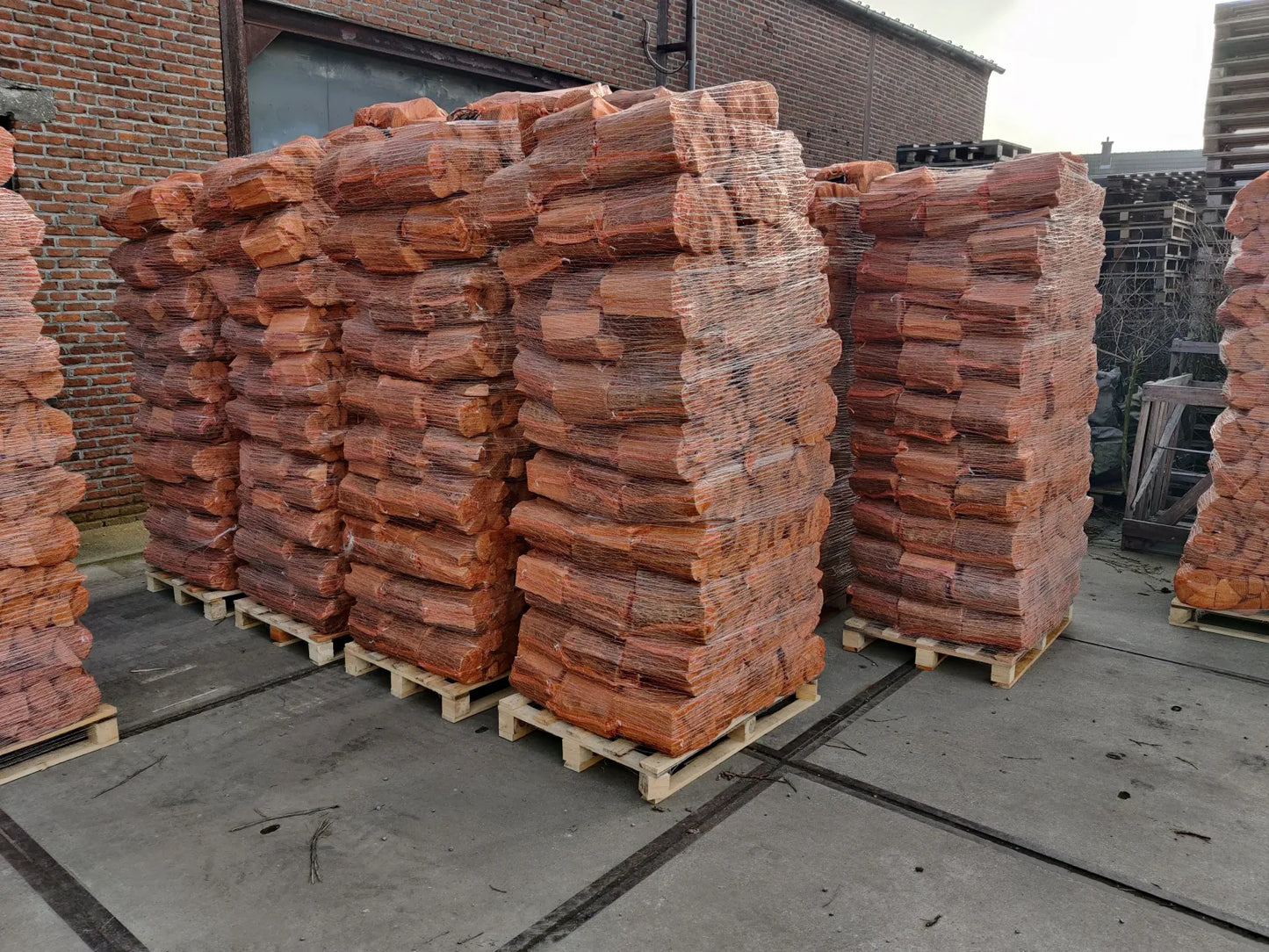 ELZEN BRANDHOUT - 1 PALLET - 90 NETZAKKEN 12,5 DM³